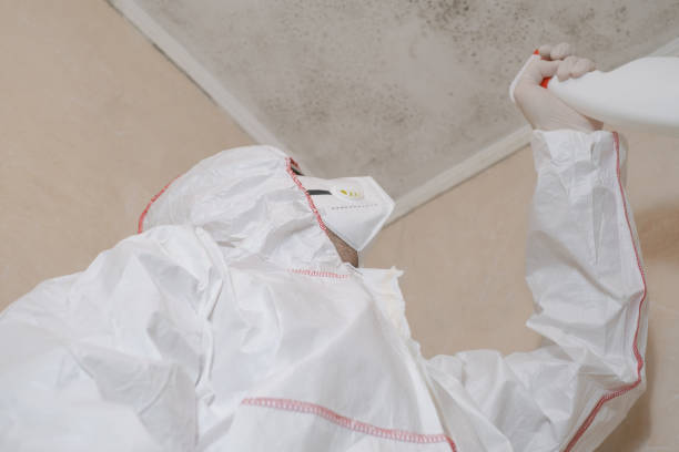 Best Certified Mold Removal  in New Beaver, PA